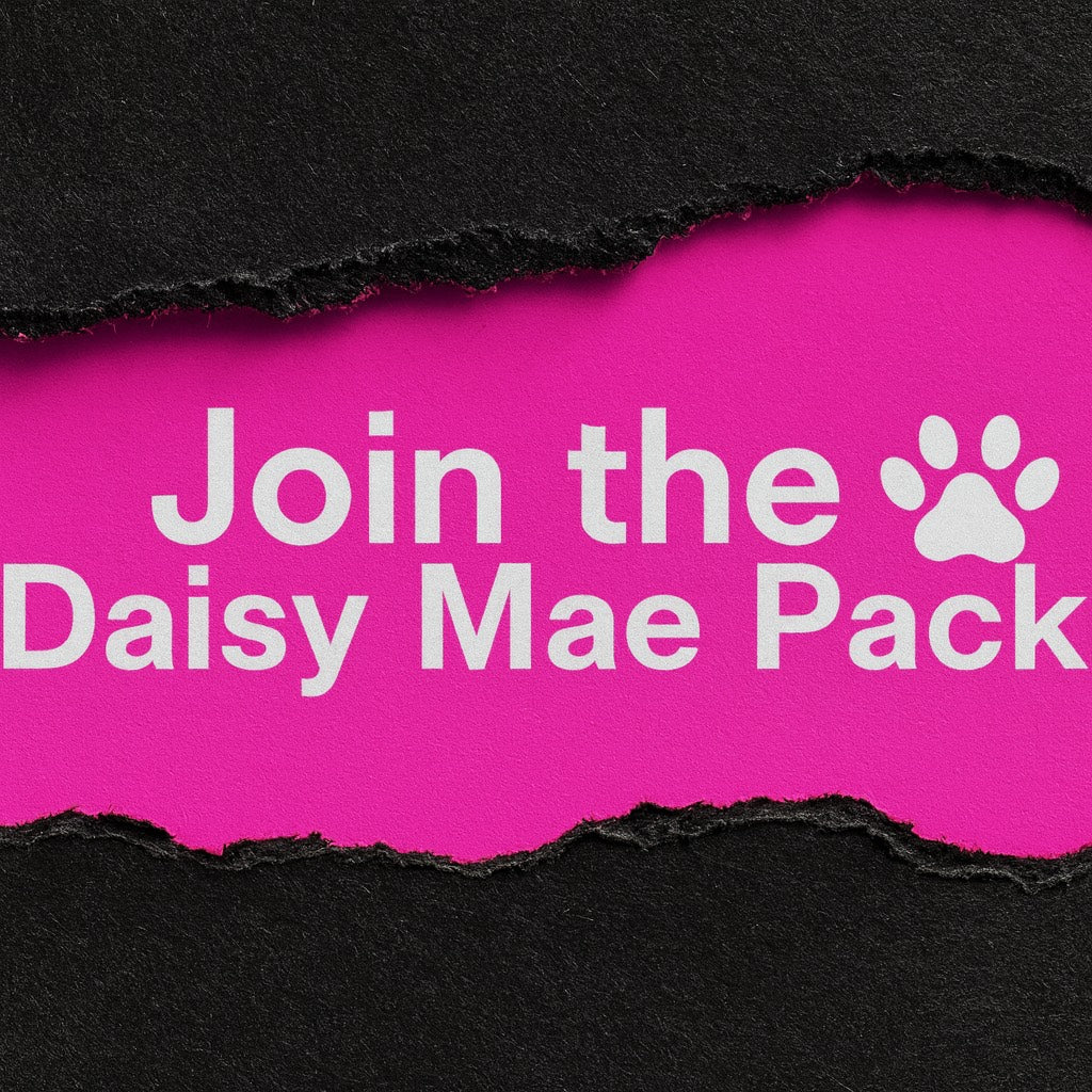 DaisymaesApparel