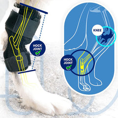 Pet Dog Leg Guard Joint Knee Pads ACL Ligament Tear Protection Assisted Rehabilitation Cat Joint 1pcs