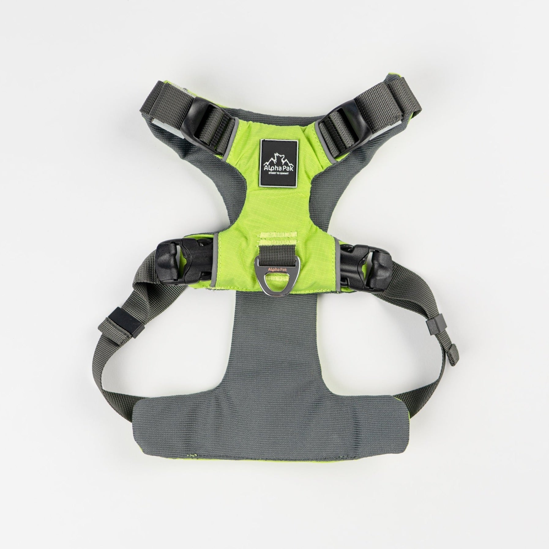 Everyday Adventure Dog Harness