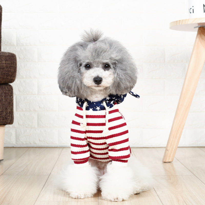 Small dog two-legged cat costume