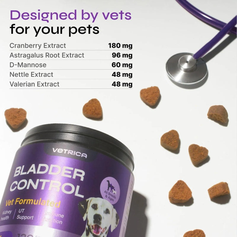 Dog UTI Treatment Duck Flavor Bladder Control Cranberry Chews Dog Cranberry Supplement For Urinary Tract Bladder & Kidney Health Cranberry D Mannose Soft Treats For Dog Incontinence Healthy Bladder