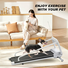 2025 New Quiet Smart Pet Treadmill, Adjustable Speed, Perfect For Small Medium Dogs