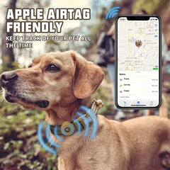 Pet Supplies Fit Silicone Case Anti-lost Dog Collar