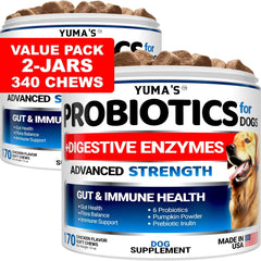 2 Pack Probiotics For Dogs And Digestive Enzymes Dog Probiotics Chews Anti Diarrhea Upset Stomach Gas Relief Constipation Canine Prebiotic Pet Fiber Supplement 340 Chews
