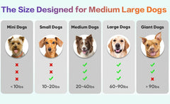 Interactive Dog Toys Ball, Automatic Rolling Toy, Lively Pet Ball For Medium ,Large Dogs To Relieve Boredom, Activated Automatic Motion Dog Balls Toy With LED Flash, USB Rechargeable Orange Purple