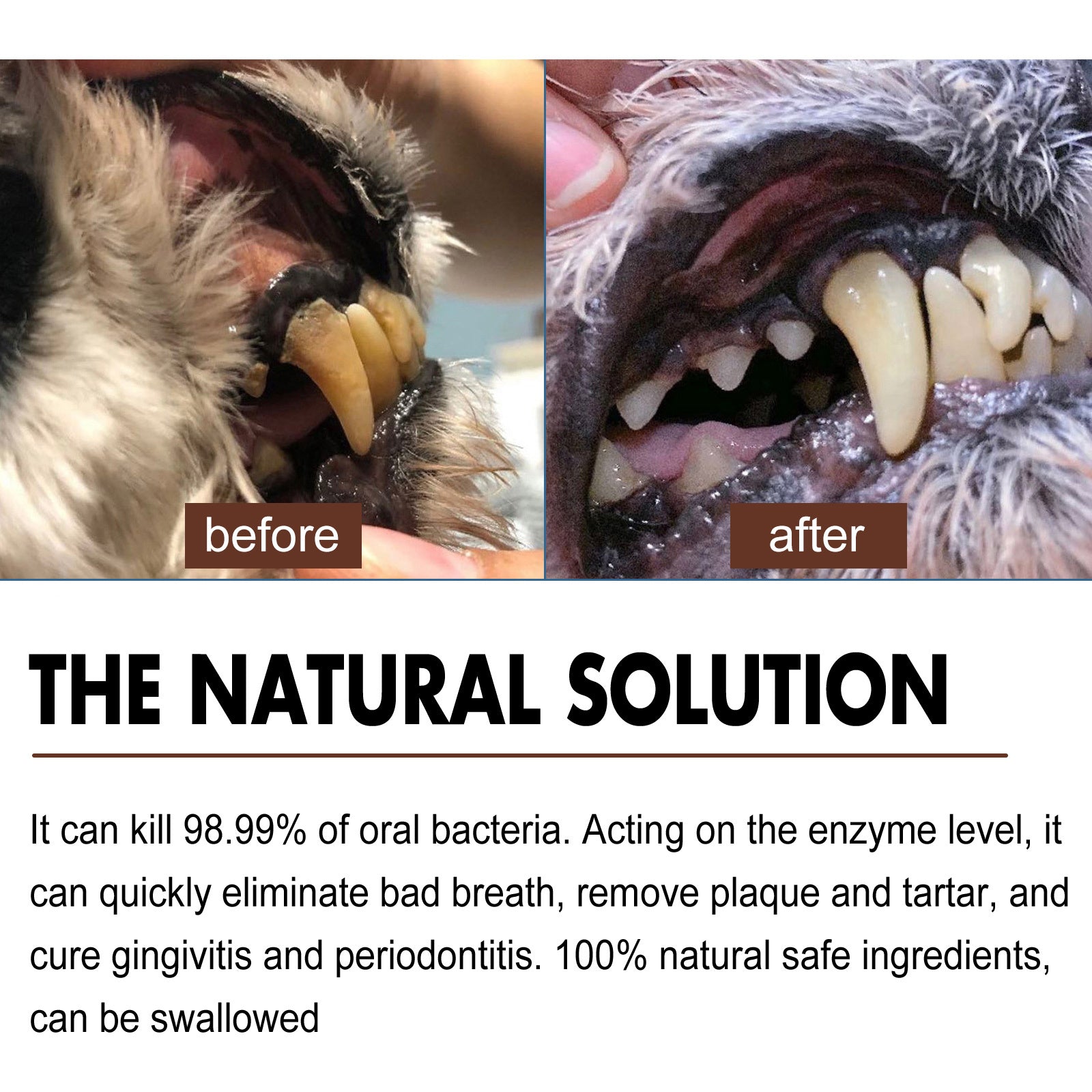 Pet Tooth Cleaning Spray