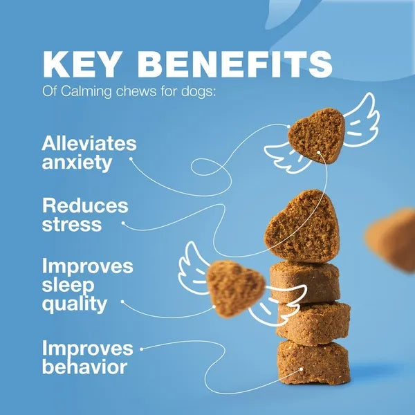 Hemp Calming Chews For Dogs Dog Calming Treats Anxiety Relief For Dogs